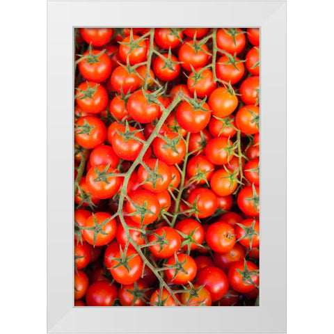 Italy- Umbria- Montefalco. Closeup of tomatoes on the vine. White Modern Wood Framed Art Print by Eggers, Julie
