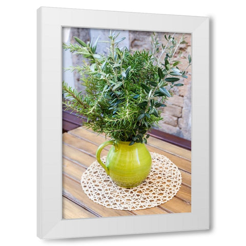 Italy- Umbria- Montefalco. Flower pot display of fresh herbs. White Modern Wood Framed Art Print by Eggers, Julie
