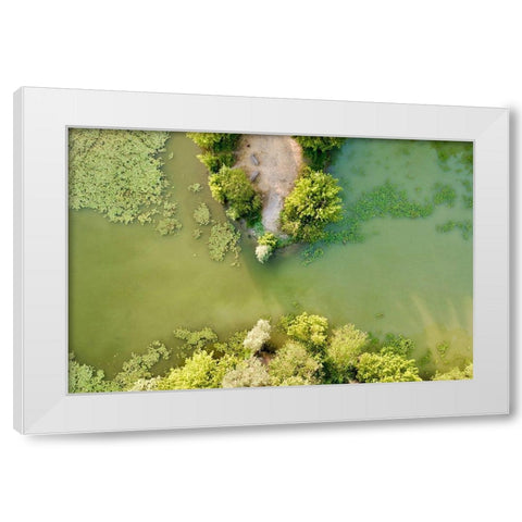 Italy-Mantua-Mantua Lake aerial view, White Modern Wood Framed Art Print by Molinari, Michele