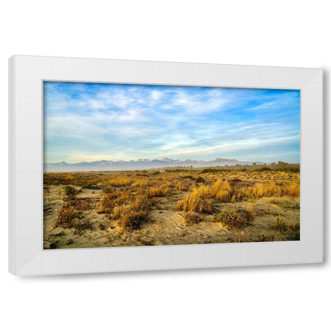 Italy-Riserva Naturale di Massaciuccoli San Rossore-protected coastal forest in Tuscany White Modern Wood Framed Art Print by Molinari, Michele