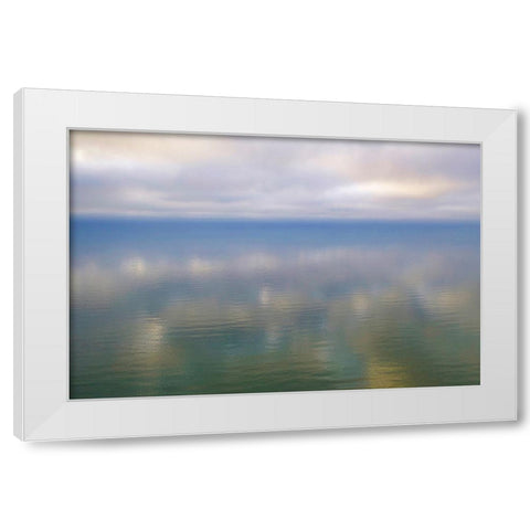 Italy-Riserva Naturale di Massaciuccoli San Rossore-protected coastal forest in Tuscany White Modern Wood Framed Art Print by Molinari, Michele