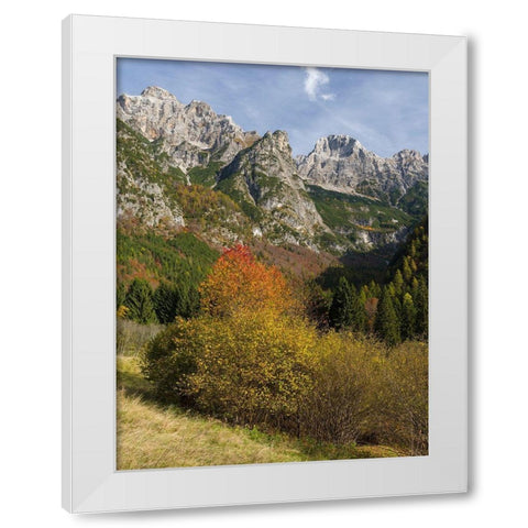 Peaks of Dolomiti di Brenta high above Val dAlgone Dolomiti di Brenta  Italy-Trentino White Modern Wood Framed Art Print by Zwick, Martin