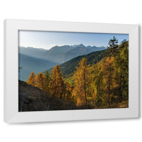 Peaks of Presanella mountain range above Val Rendena-seen from Brenta mountain range Italy White Modern Wood Framed Art Print by Zwick, Martin