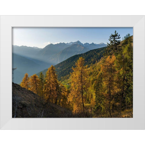 Peaks of Presanella mountain range above Val Rendena-seen from Brenta mountain range Italy White Modern Wood Framed Art Print by Zwick, Martin
