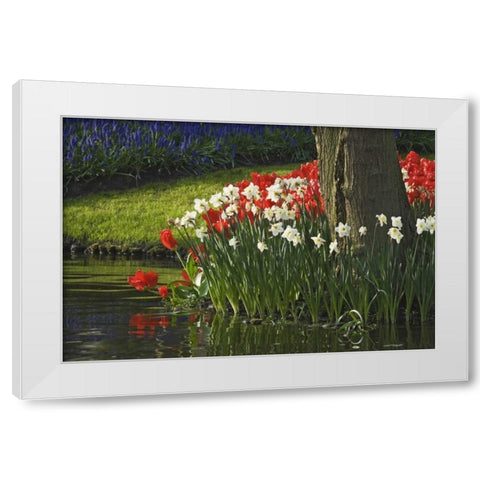 Netherlands, Lisse Flowers by ponds edge White Modern Wood Framed Art Print by Flaherty, Dennis