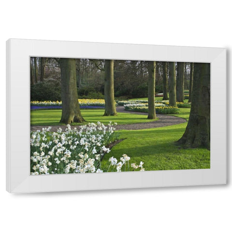 Netherlands, Lisse Blooming flowers and trees White Modern Wood Framed Art Print by Flaherty, Dennis