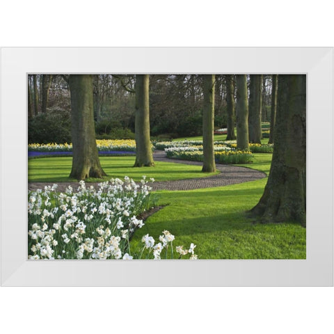 Netherlands, Lisse Blooming flowers and trees White Modern Wood Framed Art Print by Flaherty, Dennis