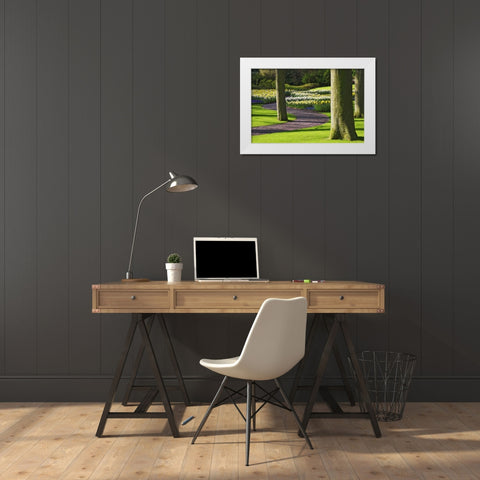 Holland, Lisse Curving path through a gardens White Modern Wood Framed Art Print by Flaherty, Dennis