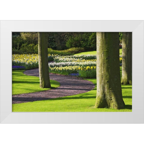 Holland, Lisse Curving path through a gardens White Modern Wood Framed Art Print by Flaherty, Dennis