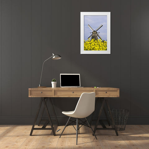 Netherlands, Kinderdijk Windmill with flowers White Modern Wood Framed Art Print by Flaherty, Dennis
