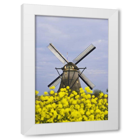 Netherlands, Kinderdijk Windmill with flowers White Modern Wood Framed Art Print by Flaherty, Dennis