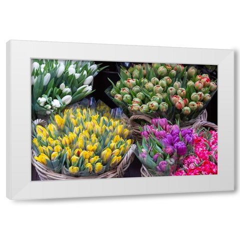 Netherlands-Amsterdam Tulip bouquets on display by vendor  White Modern Wood Framed Art Print by Jaynes Gallery