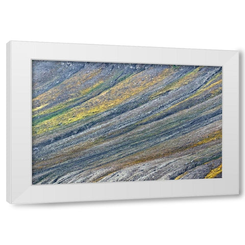 Pattern on mountain slope-Svalbard-Norway White Modern Wood Framed Art Print by Jones, Adam