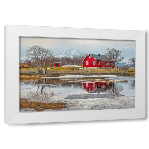 Norway- Lofoten Islands. View across Indrepollen Lake. White Modern Wood Framed Art Print by Looney, Hollice