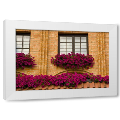 Poland, Gdansk Window boxes with purple petunias White Modern Wood Framed Art Print by Ross, Nancy ,  Steve