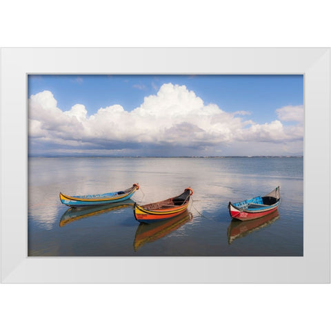 Europe-Portugal-Aveiro Lagoon-Traditional fishing boats moored in water White Modern Wood Framed Art Print by Jaynes Gallery