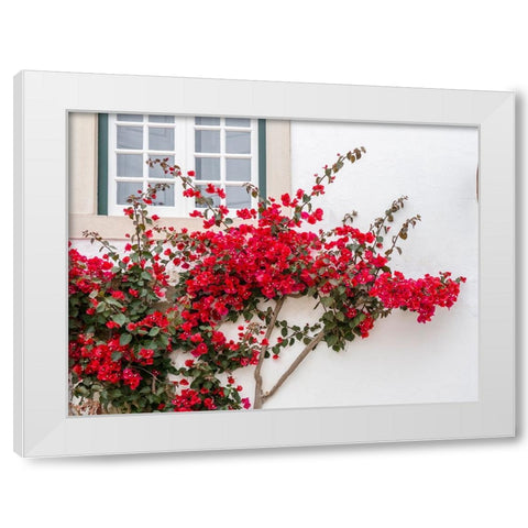 Portugal-Obidos-Beautiful red bougainvillea blooming against a white stone wall White Modern Wood Framed Art Print by Eggers, Julie