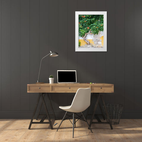 Portugal-Obidos-Large trumpet vine growing against a wall in the streets of Obidos White Modern Wood Framed Art Print by Eggers, Julie