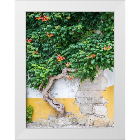 Portugal-Obidos-Large trumpet vine growing against a wall in the streets of Obidos White Modern Wood Framed Art Print by Eggers, Julie