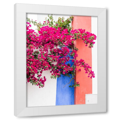 Portugal-Obidos-Dark pink bougainvillea vine against a blue-orange and white striped wall White Modern Wood Framed Art Print by Eggers, Julie