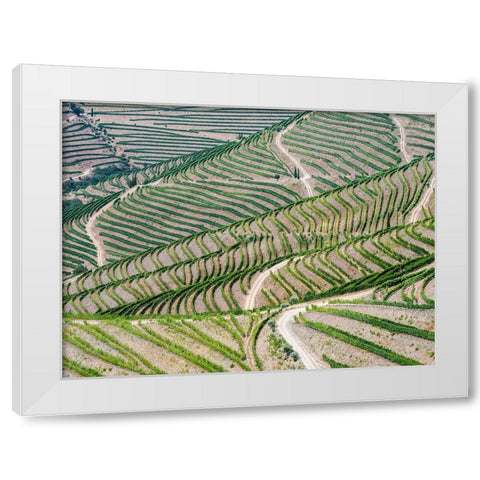 Portugal-Douro Valley-Terraced vineyards lining the hills White Modern Wood Framed Art Print by Eggers, Julie