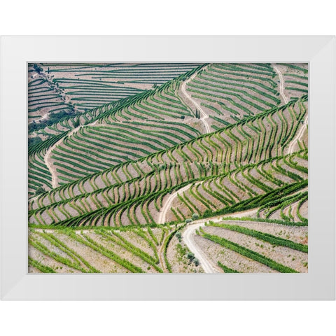 Portugal-Douro Valley-Terraced vineyards lining the hills White Modern Wood Framed Art Print by Eggers, Julie