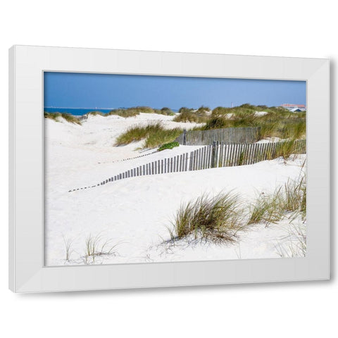 Portugal-Costa Nova-Beach grass-sand and old fence line at the beach resort of Costa Nova near Avei White Modern Wood Framed Art Print by Eggers, Julie