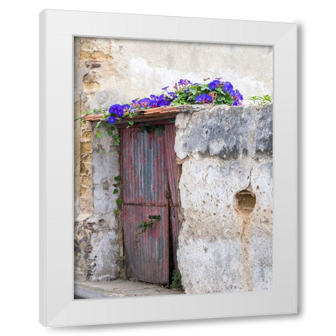 Portugal-Aveiro-Old red metal door with bright blue and pink morning glory flower vine covering abo White Modern Wood Framed Art Print by Eggers, Julie