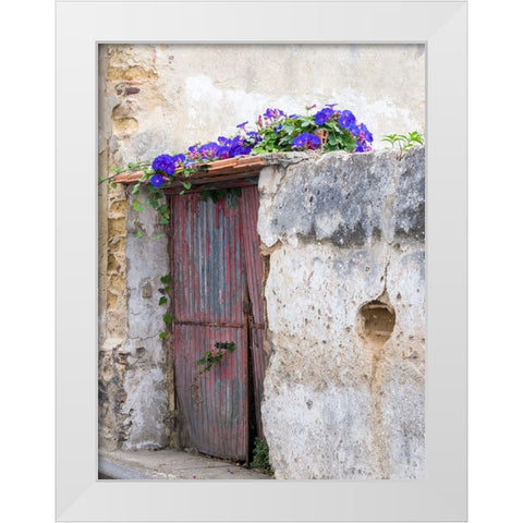 Portugal-Aveiro-Old red metal door with bright blue and pink morning glory flower vine covering abo White Modern Wood Framed Art Print by Eggers, Julie