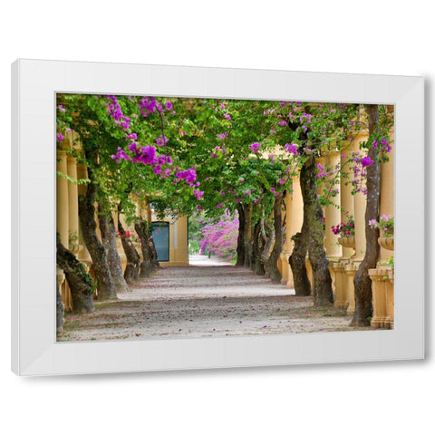 Portugal-Aveiro-Parque Dom Pedro Infante in Aveiro-Stone balustrade with pergola and columns White Modern Wood Framed Art Print by Eggers, Julie
