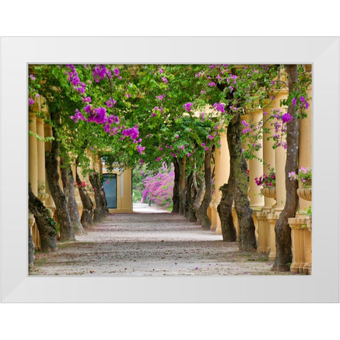Portugal-Aveiro-Parque Dom Pedro Infante in Aveiro-Stone balustrade with pergola and columns White Modern Wood Framed Art Print by Eggers, Julie