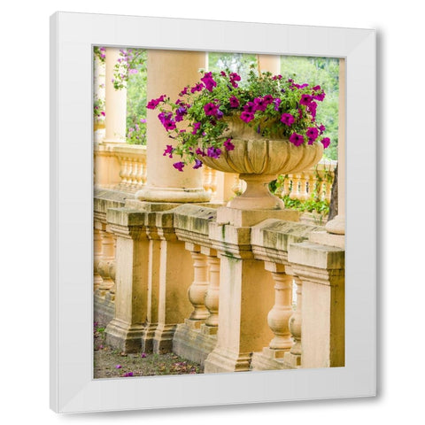 Portugal-Aveiro-Parque Dom Pedro Infante in Aveiro-Stone balustrade with pergola and columns White Modern Wood Framed Art Print by Eggers, Julie
