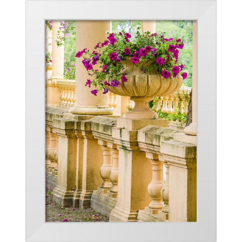 Portugal-Aveiro-Parque Dom Pedro Infante in Aveiro-Stone balustrade with pergola and columns White Modern Wood Framed Art Print by Eggers, Julie