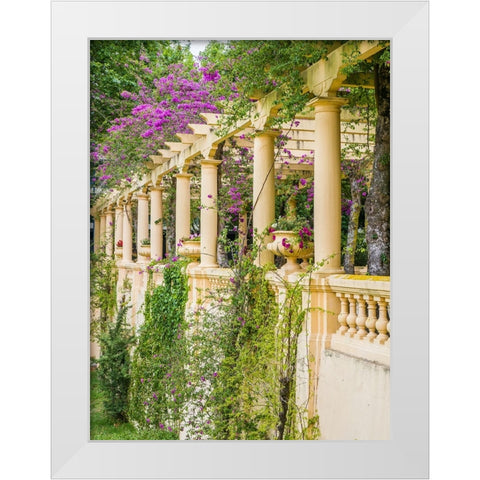 Portugal-Aveiro-Parque Dom Pedro Infante in Aveiro-Stone balustrade with pergola and columns White Modern Wood Framed Art Print by Eggers, Julie