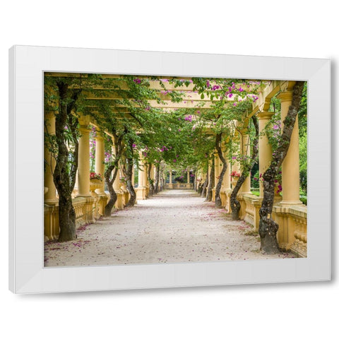 Portugal-Aveiro-Parque Dom Pedro Infante in Aveiro-Stone balustrade with pergola and columns White Modern Wood Framed Art Print by Eggers, Julie