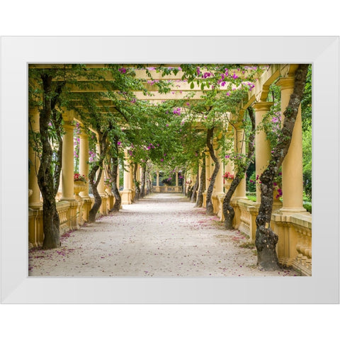 Portugal-Aveiro-Parque Dom Pedro Infante in Aveiro-Stone balustrade with pergola and columns White Modern Wood Framed Art Print by Eggers, Julie