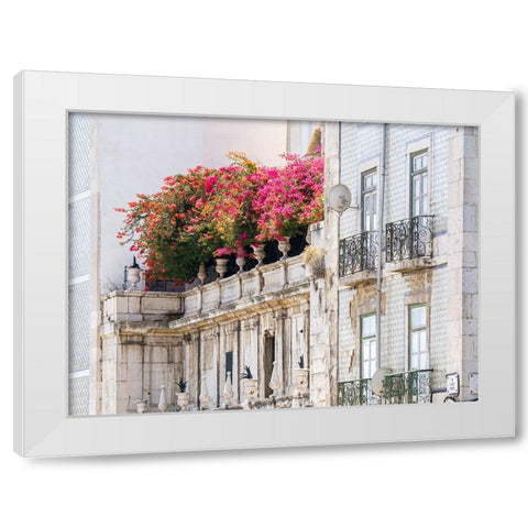 Portugal-Lisbon-Colorful Bougainvillea trailing over balcony of white building White Modern Wood Framed Art Print by Eggers, Julie