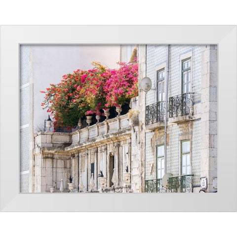 Portugal-Lisbon-Colorful Bougainvillea trailing over balcony of white building White Modern Wood Framed Art Print by Eggers, Julie