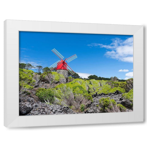 Traditional windmill near Sao Joao Pico Island-an island in the Azores in the Atlantic Ocean  White Modern Wood Framed Art Print by Zwick, Martin