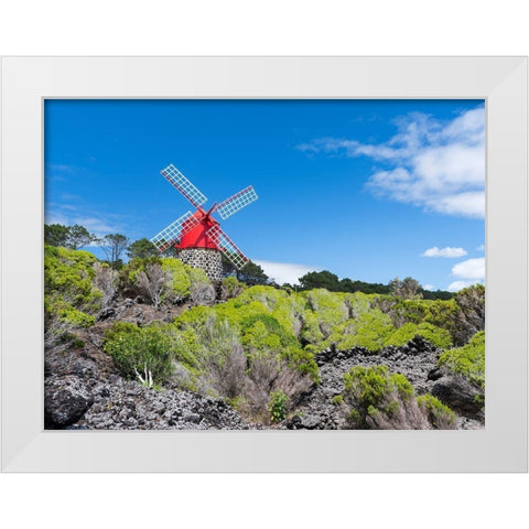 Traditional windmill near Sao Joao Pico Island-an island in the Azores in the Atlantic Ocean  White Modern Wood Framed Art Print by Zwick, Martin