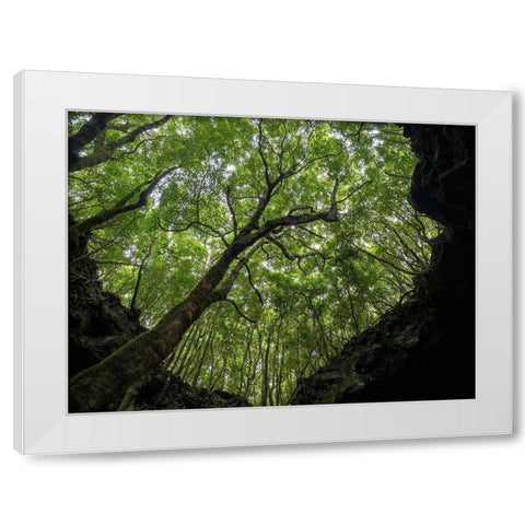 Lava tube Gruta das Torres-collapsed ceiling Pico Island White Modern Wood Framed Art Print by Zwick, Martin