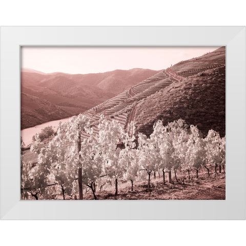 Portugal-Douro Valley-Vineyards draping the hills White Modern Wood Framed Art Print by Eggers, Terry