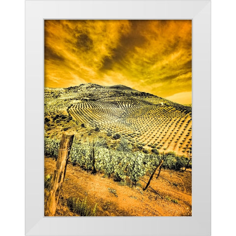 Portugal-Douro Valley-Vineyards and Olive Groves White Modern Wood Framed Art Print by Eggers, Terry