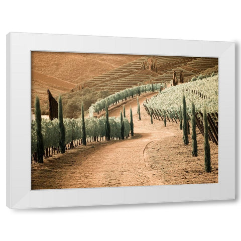 Portugal-Douro Valley-Backcountry road through the vineyards White Modern Wood Framed Art Print by Eggers, Terry