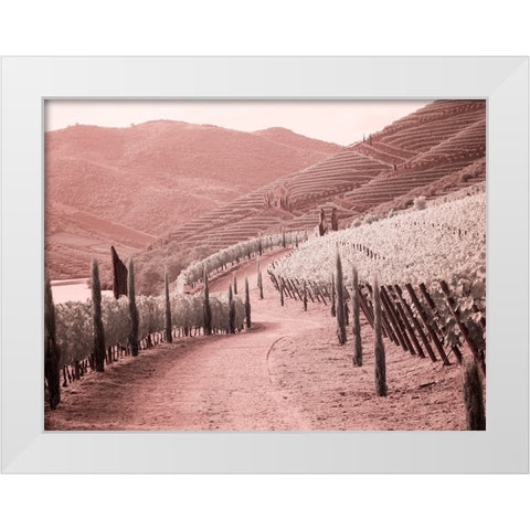 Portugal-Douro Valley-Backcountry road through the vineyards White Modern Wood Framed Art Print by Eggers, Terry