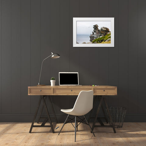 Cormorants and seagulls on rock pile-Kolyuchin Island-once an important Russian Polar Research Stat White Modern Wood Framed Art Print by Su, Keren