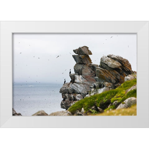 Cormorants and seagulls on rock pile-Kolyuchin Island-once an important Russian Polar Research Stat White Modern Wood Framed Art Print by Su, Keren