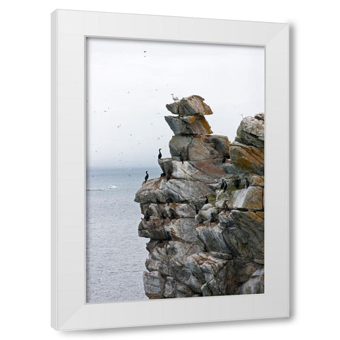 Cormorants and seagulls on rock pile-Kolyuchin Island-once an important Russian Polar Research Stat White Modern Wood Framed Art Print by Su, Keren