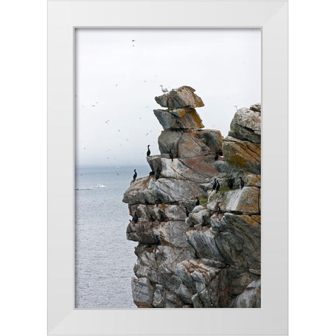 Cormorants and seagulls on rock pile-Kolyuchin Island-once an important Russian Polar Research Stat White Modern Wood Framed Art Print by Su, Keren