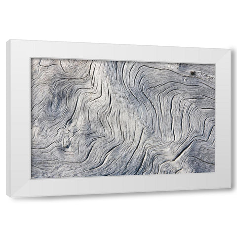 Drift wood pattern-Cape Onman-Chukchi Sea-Russia Far East White Modern Wood Framed Art Print by Su, Keren